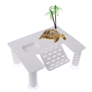 Bệ leo, máng leo cho rùa gắn bể