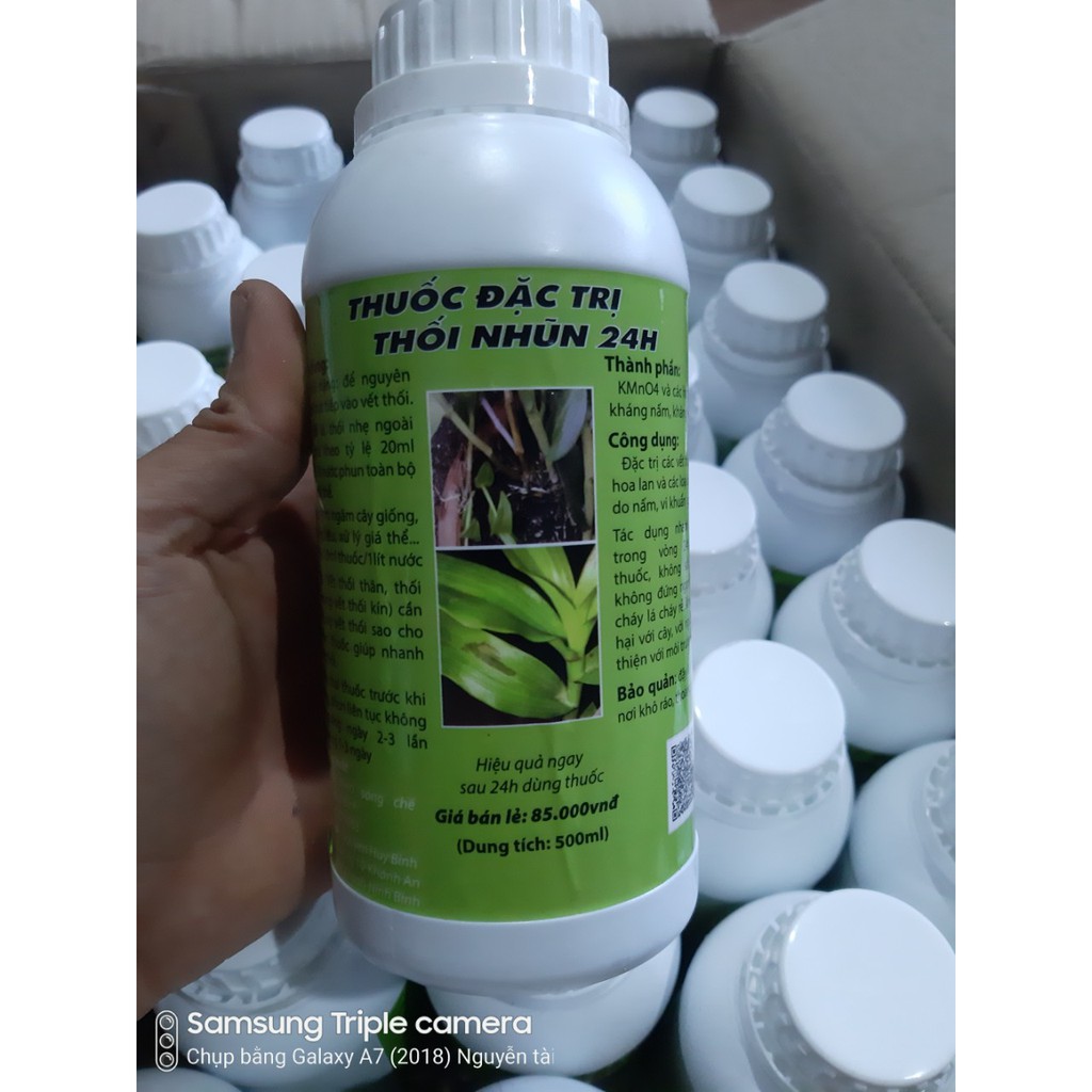 Đặc trị thối nhũn 24h chai 500ml
