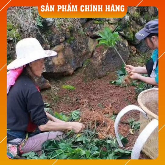 [Xả kho] 200g NỤ TAM THẤT không cuống sấy lạnh hỗ trợ điều trị mất ngủ và tốt cho tim mạch