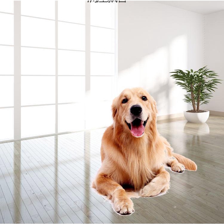 Nước lau sàn dạng khô, Miếng xà phòng lau sàn nhà, miếng sủi tẩy rửa đa năng, diệt khuẩn, hương thơm nhẹ nhàng