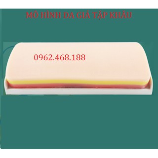 Mô hình tập khâu da