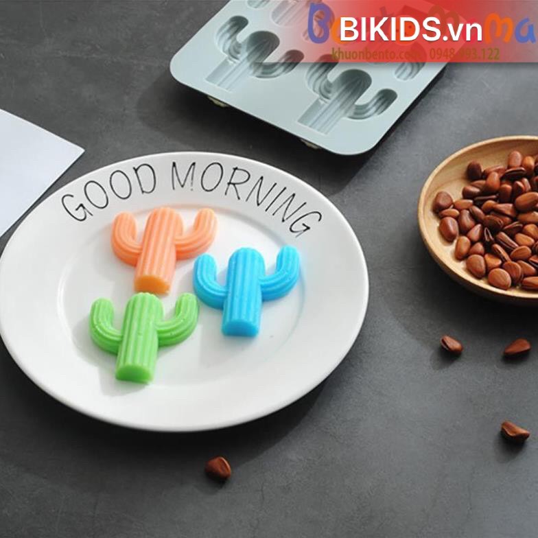 Khuôn thạch, đậu hũ non silicon xương rồng - Cao cấp