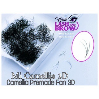 Mi Fan Sole Camelia - 3D 4D 5D Cong C , D ( 0.07 ) - Lông Mi Sole Fan Tay Sẵn