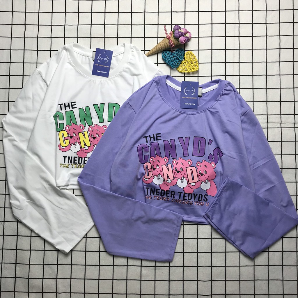 Áo Croptop Nữ Tay Dài In Hình Gấu Teddy  Lapi VN Phong Cách Ulzzang  Freesize Phom Rộng, Áo Thun Unisex