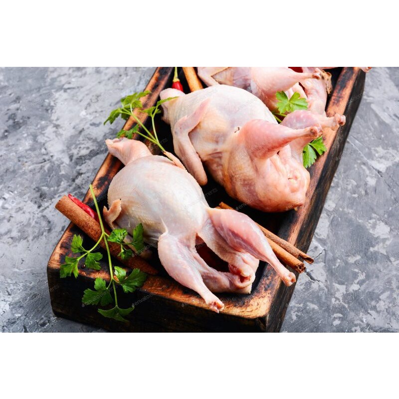 Chim bồ câu 1kg làm sạch chuẩn ngon, trợ giá mùa dịch - HNH Food Farm