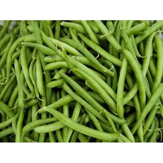 Hạt giống đậu cove lùn 1kg - Rau củ quả trồng tại vườn, sân thượng, nông trang, ban công