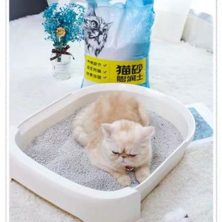 5kg Cát vệ sinh cho mèo