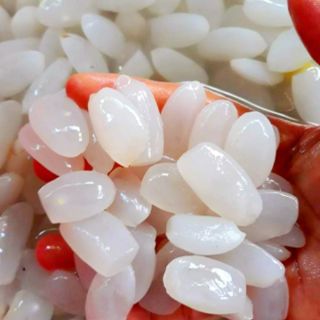 HẠT ĐÁC TƯƠI