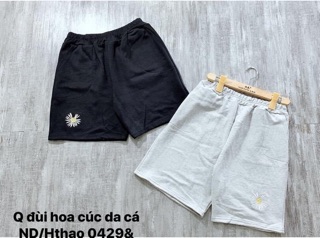 Quần đùi hoa cúc - ND/Hthao