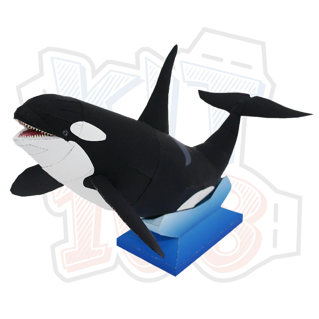 Mô hình giấy động vật Cá voi sát thủ Orca