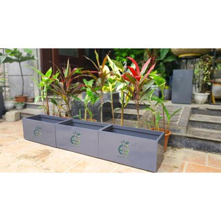 Chậu Composite Trơn Trồng Cây Hoa