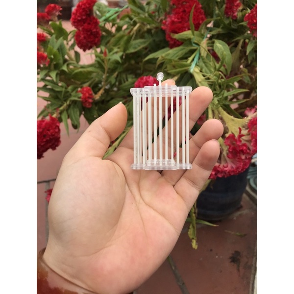 Rọ rế.rọ đựng cào cào cho chim chào mào giá giảm sốc.mua nhiều với giá ưu đãi