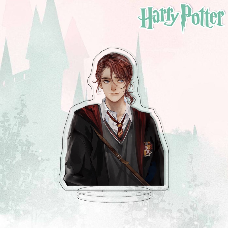Đồ Chơi Mô Hình Nhân Vật Harry Potter Hoạt Hình Bằng Acrylic 8