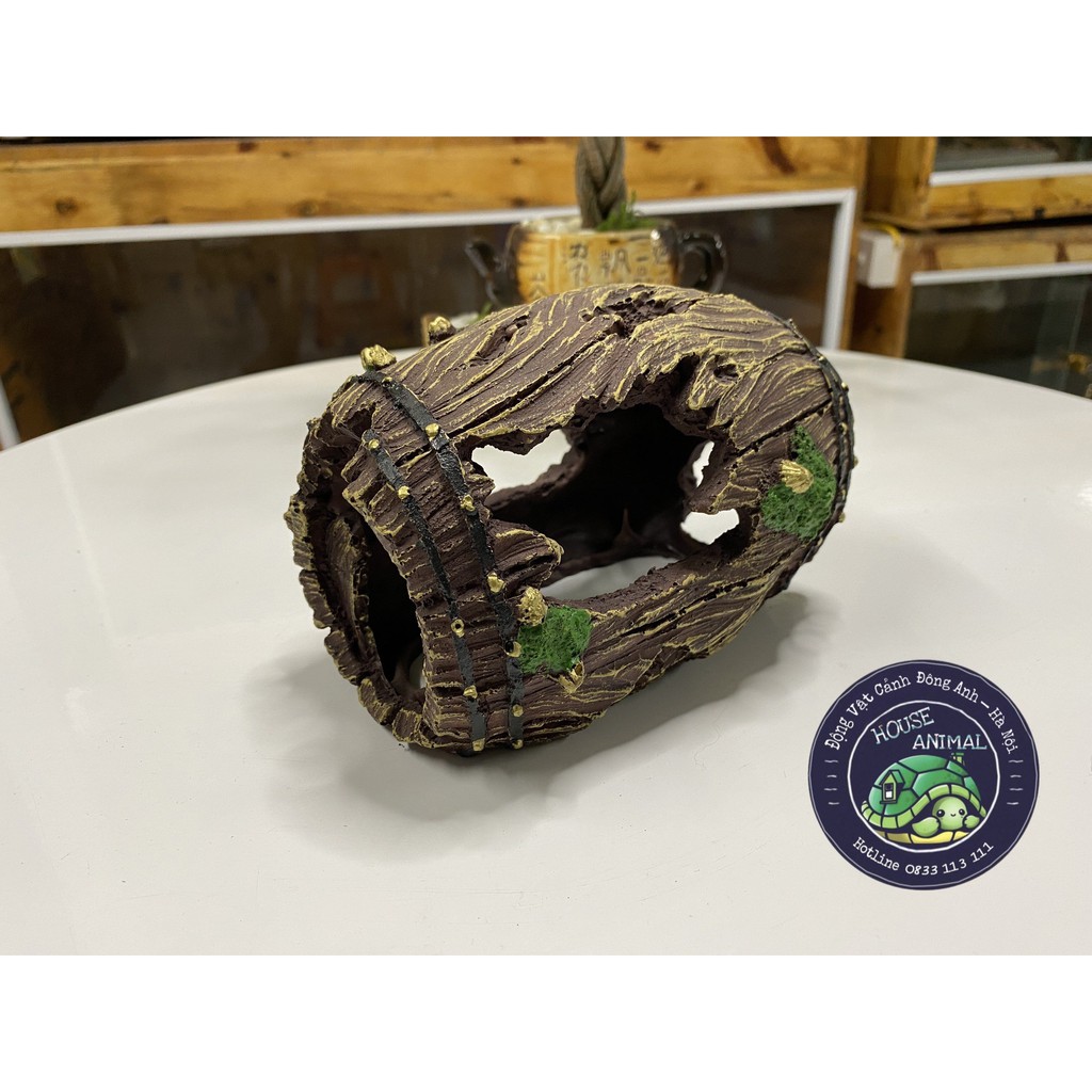 Hang hình thùng gỗ vỡ trang trí chuồng bò sát