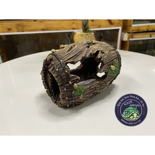 Hang hình thùng gỗ vỡ trang trí chuồng bò sát