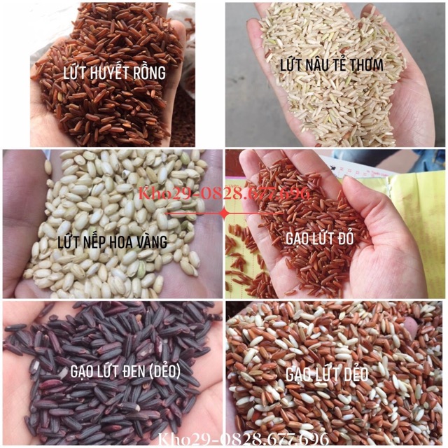 Gạo Lứt các loại: Đen,Đỏ,Huyết Rồng, Dẻo, Nâu, Nếp, Bách Hợp