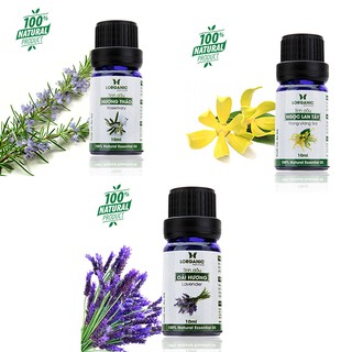 Combo 3 loại tinh dầu ngọc lan tây, oải hương và hương thảo 10ml/chai