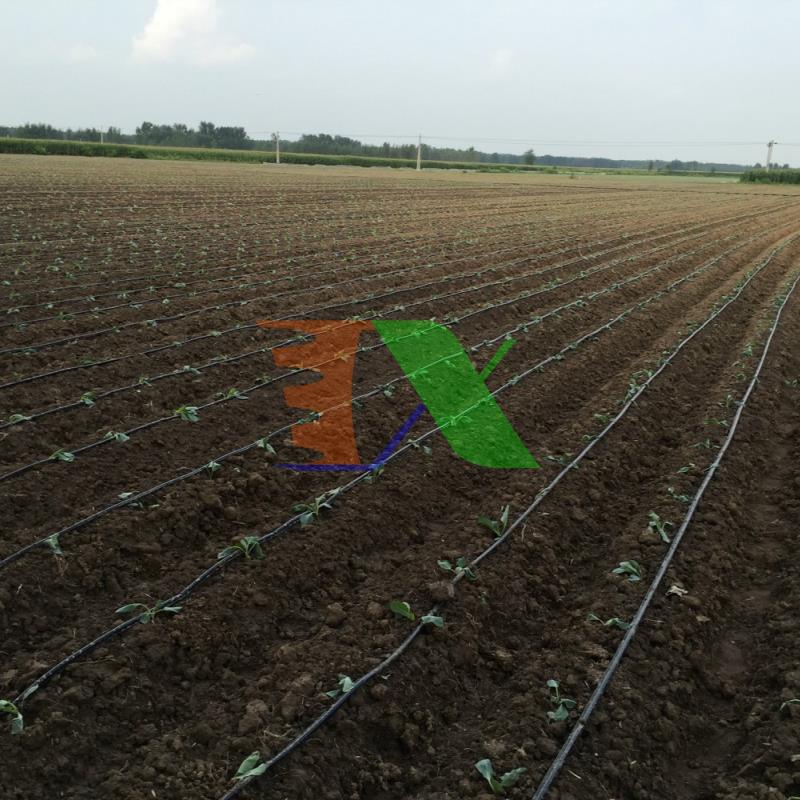 Cuộn 100m Dây dẫn tưới PE N65X42, Dây PE mềm dày 0.5mm, Ống PE mềm (không đục lỗ)