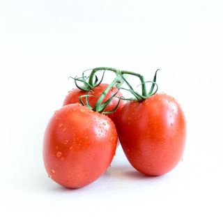 Thuốc dẫn dụ diệt ruồi vàng Vizubon -D