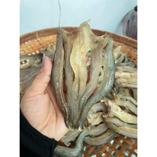KHÔ CÁ LÓC CỬNG XẺ 500Gr