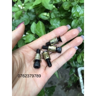 Ốc tán cấy gỗ ren 6mm