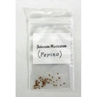 Bán Hạt giống dưa PEPINO Mỹ (4 hạt) dưa hấu Mỹ hàng chuẩn