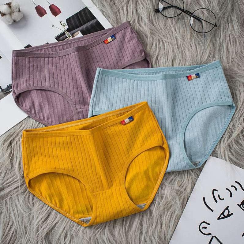 [Giá sỉ] Quần Lót Sợi Tre Cotton Màng Kháng Khuẩn Q1