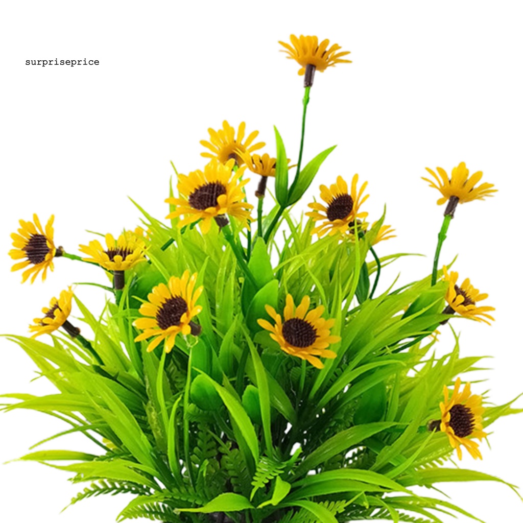 Spa 1 Bộ Chậu Cây Bonsai Thực Tế Bắt Mắt