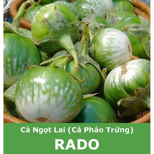 Hạt Giống Cà Ngọt Lai 525