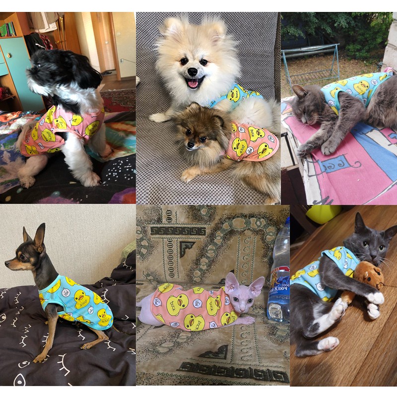 Áo thun in hình vịt vàng hoạt hình dễ thương cho thú cưng