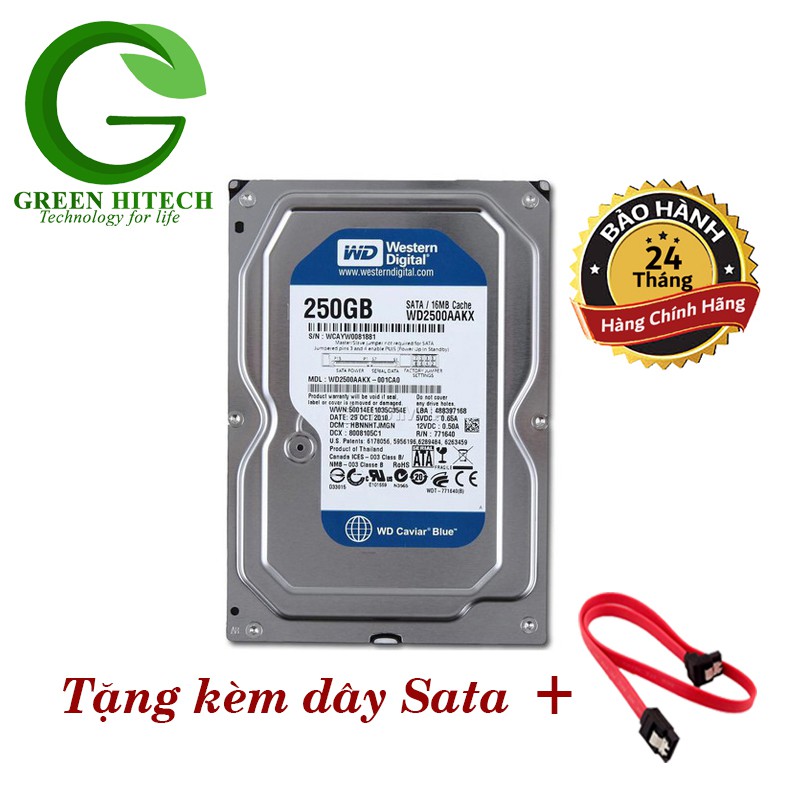 Ổ cứng gắn trong HDD WD Blue 250GB - Hàng Chính Hãng - BH 2 năm - 1 đổi 1