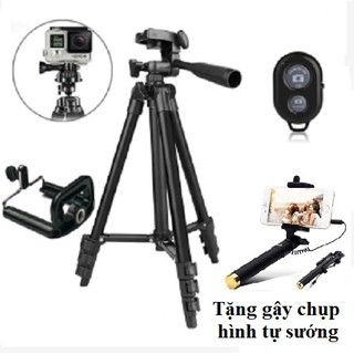 Combo chân đế Tripod TF 3120 + Kẹp điện thoại + Remote bluetooth + Quà tặng