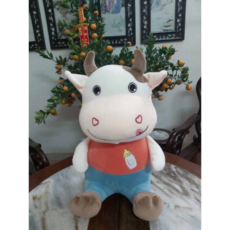 Trâu mặc áo bình sữa