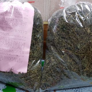 Trà giảo cổ lam hà giang 1kg