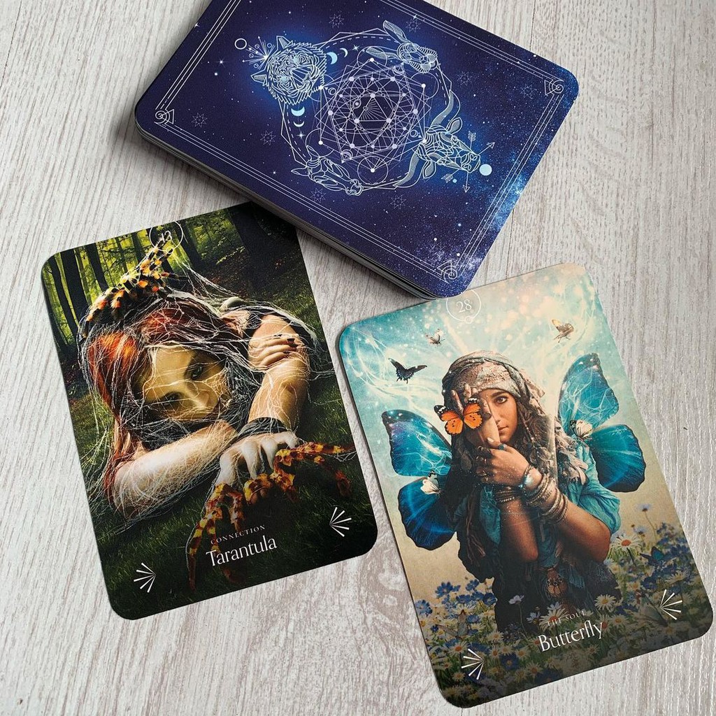Bộ Bài Divine Animals Oracle (Mystic House Tarot Shop) - Bài Gốc Authentic Chính Hãng 100%