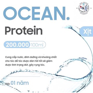 OCEAN - Xịt dưỡng Protein 🎁cột tóc hoa cúc