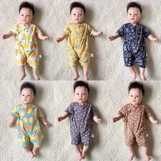 Combo Thu trần