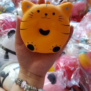 Squishy donut mèo