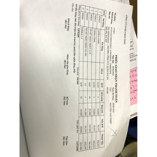 Tố nữ nhất nhất