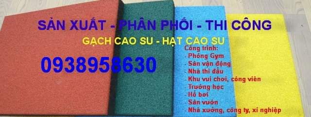 Gạch cao su phòng Gym / sân chơi / hồ bơi / sân vườn / nhà xưởng -- sản xuất trực tiếp giá cực tốt