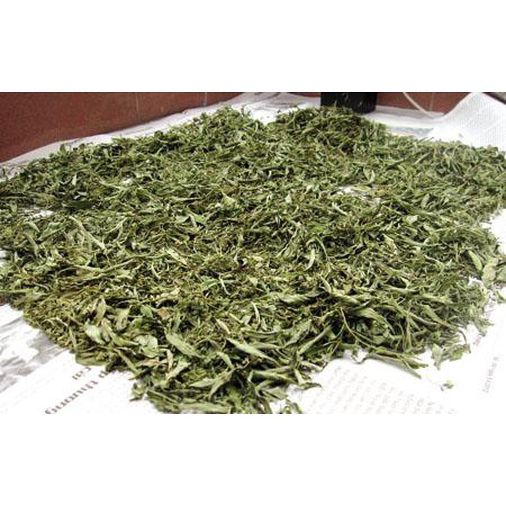 Lá đinh lăng khô