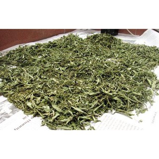 Lá đinh lăng khô (lá đinh lăng nếp 1kg)