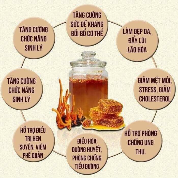 Đông trùng hạ thảo sấy thăng hoa An Phước - Lọ 10gr