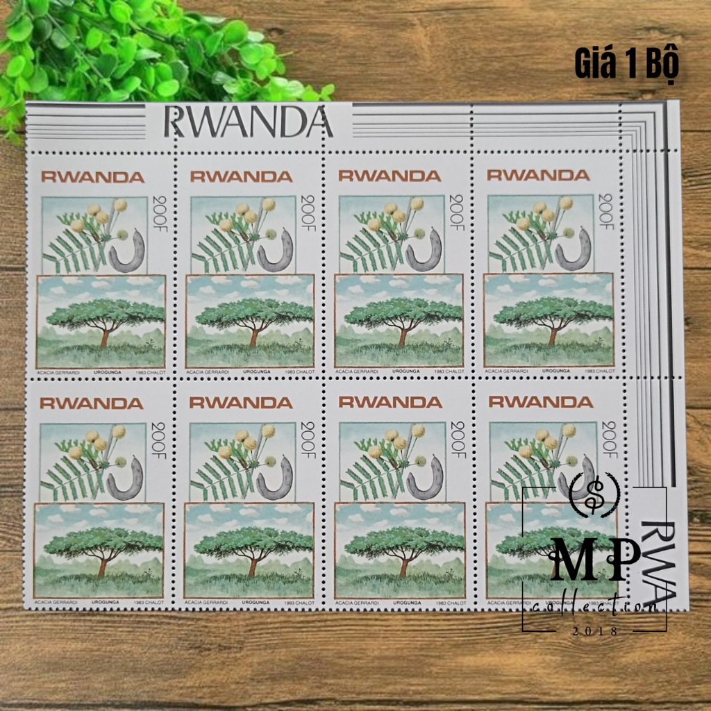 Bộ 8 tem hoa Rwanda 1983 sưu tầm