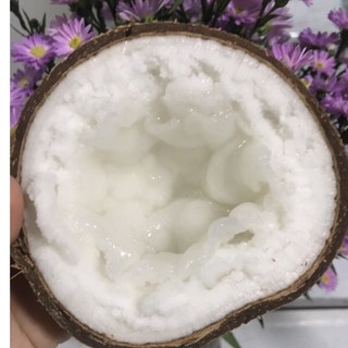 Dừa sáp bi Trà Vinh đặc ruột dưới 900g