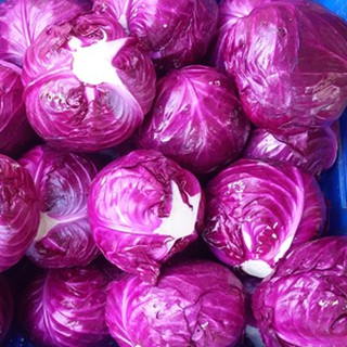 Hạt Giống Cải bắp tím 0.2 gram/gói