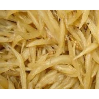 [Shop Mới] THIÊN MÔN thiên môn đông