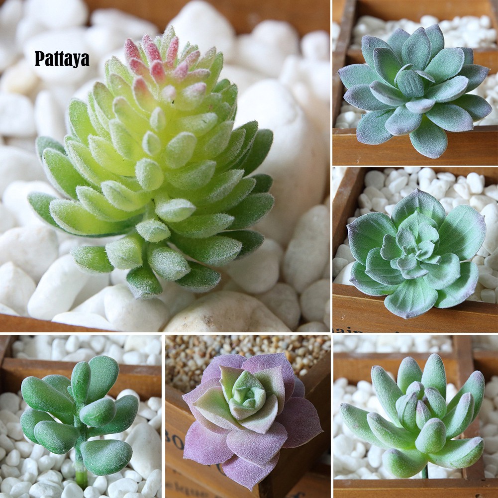 1 Cây Cảnh Giả Bằng Nhựa Cho Trang Trí