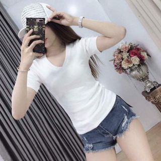 Áo cổ tim body