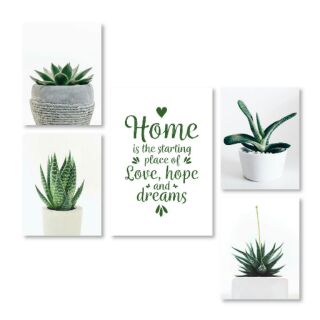Bộ 5 tranh kèm khung hoa sen đá Home